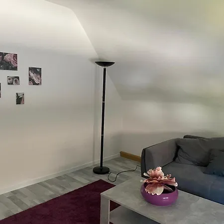 Erica Auf Dem Traumpfad Ettringen (Rhineland-Palatinate)