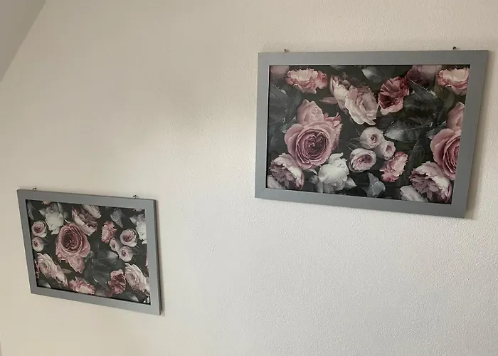 Erica Auf Dem Traumpfad Apartment Ettringen (Rhineland-Palatinate)